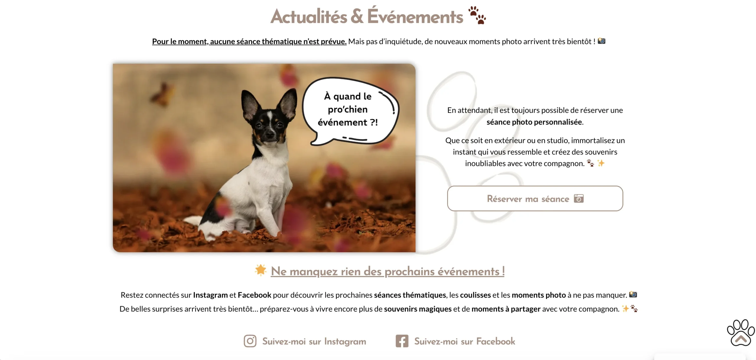 Accueil-Évènements-Pixelsan-réalisation-AK-developpeur-web