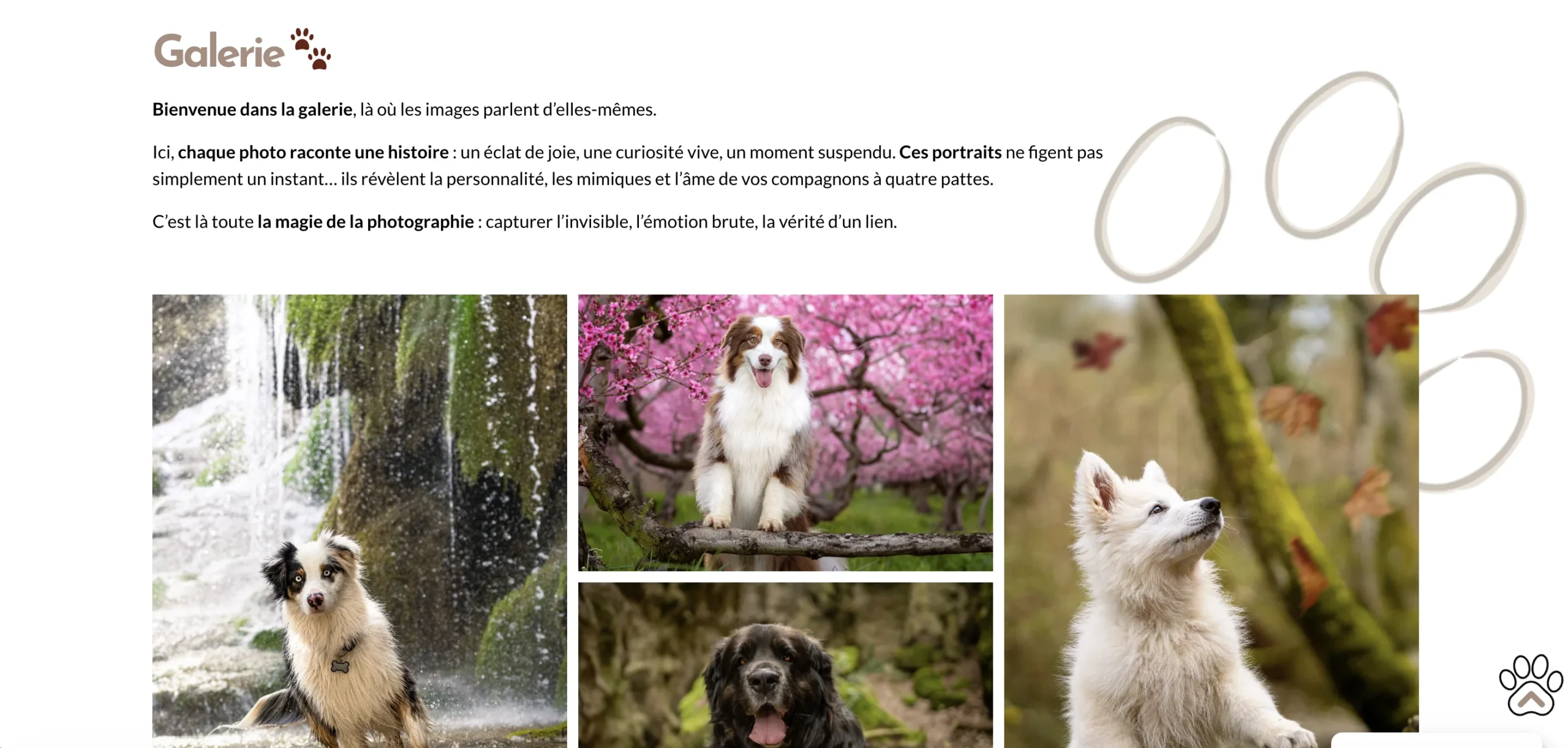 Accueil-Galerie-Pixelsan-réalisation-AK-developpeur-web